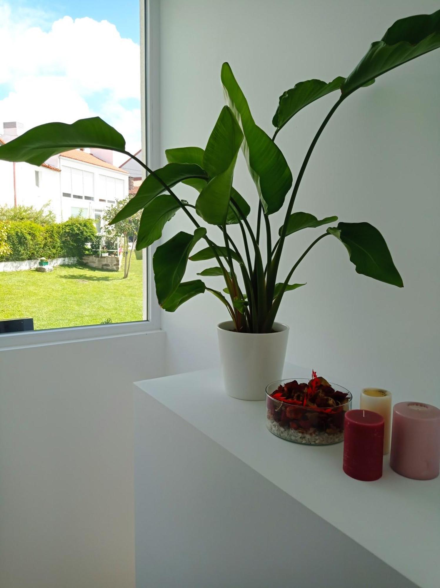Casas Turisticas Lar Jardin - Parking Privado サンティアゴ・デ・コンポステーラ エクステリア 写真