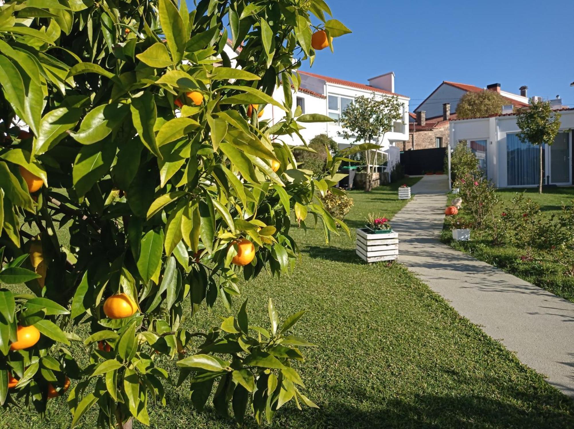 Casas Turisticas Lar Jardin - Parking Privado サンティアゴ・デ・コンポステーラ エクステリア 写真